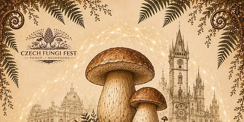 CZECH FUNGI FEST 2026