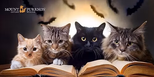 Halloween-themed Book Swap and Sip (with cats)