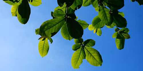 Phi\u00ean ch\u1ee3 Th\u00e1ng M\u01b0\u1eddi Hai 