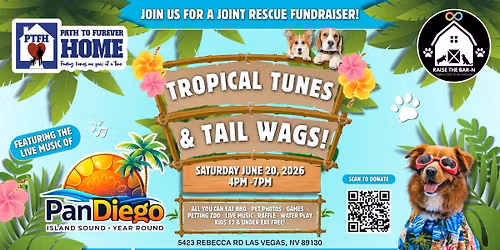 Tropical \ud83c\udf34 Tunes \ud83c\udfb6 & Tail Wags!\u2600\ufe0f\ud83d\udc36\ud83d\udc3e\ud83c\udf38