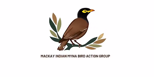 May's Mackay Indian Myna Bird Action Group 