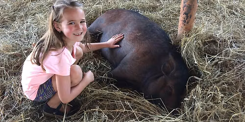 Poplar Spring Animal Sanctuary - Group tour