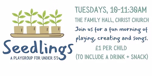 Seedlings Playgroup