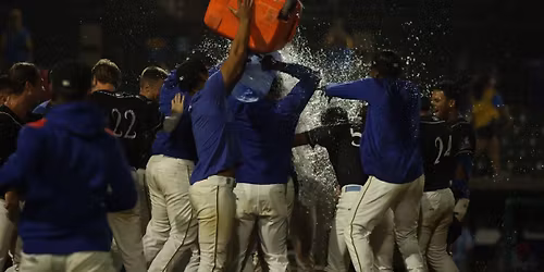 Fredericksburg Nationals at Myrtle Beach Pelicans