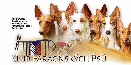 Speci\u00e1ln\u00ed a Klubov\u00e1 v\u00fdstava KFP