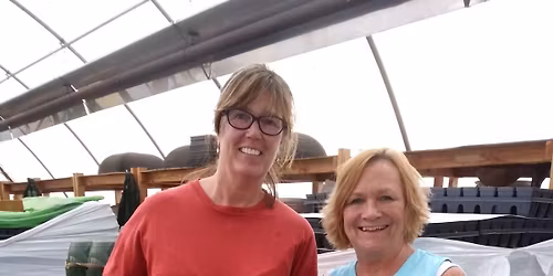 Spring Bowl Planter Class