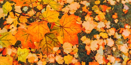 Colors of Autumn