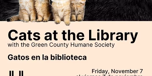 Cats at the Library