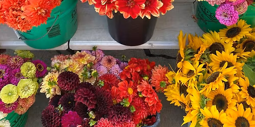 West Allis Farmers Market - Thursdays