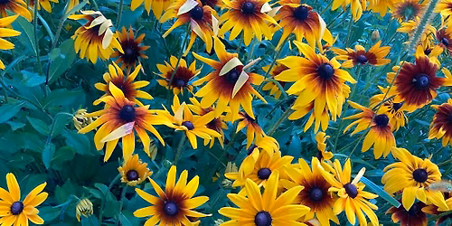 Mother\u2019s Day\u2019s Floral Workshop