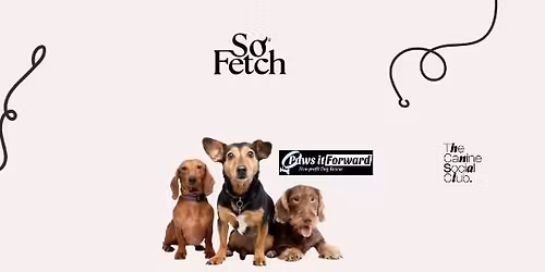 Paws It Forward Alumni Festive Meet-Up