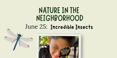 Nature in the Neighborhood | Incredible Insects