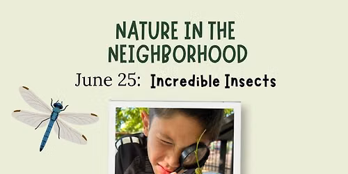 Nature in the Neighborhood | Incredible Insects