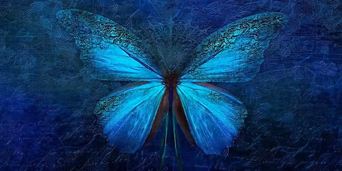 YA\/New Adult\/Romantasy Reading Group