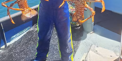 lobsters \ud83e\udd9e 