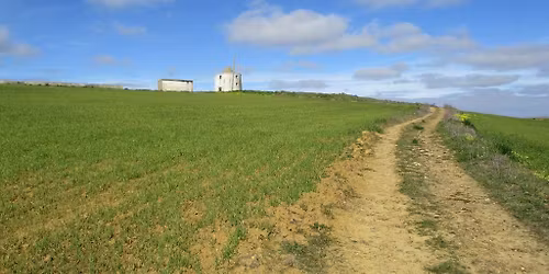 Caminhando em campos encantados