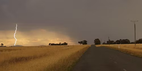 Exhibition opening: Capturing the Wild \u2013 A series of photographs and paintings by Milton Moss