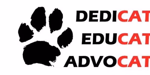 Ottawa\u2019s Got Talent