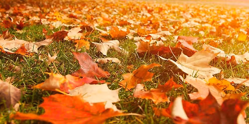 \u201cGround and Sound\u201d in the Fall