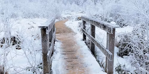 Winter Solstice Celebration