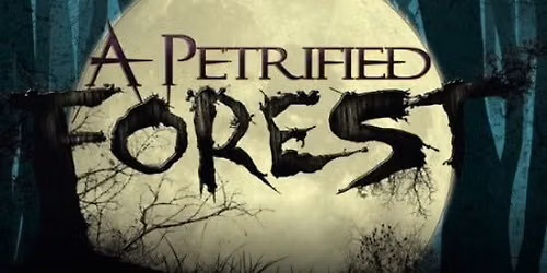 One Night at A Petrified Forest - All are Welcome