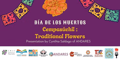 Cempas\u00fachil: Traditional Flowers in Dia de los Muertos
