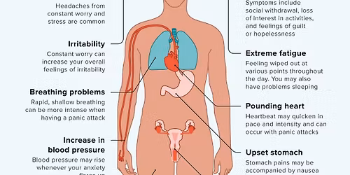Anatomy Of An Ordinary Night