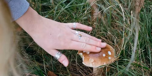 Foraging Walk With Fieldstudy - Beginner Friendly