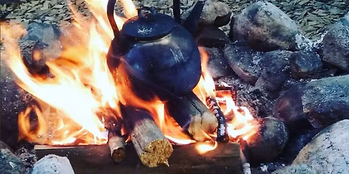 Iitin Villiruokamarkkinat 