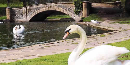Visit to Kearsney Abbey