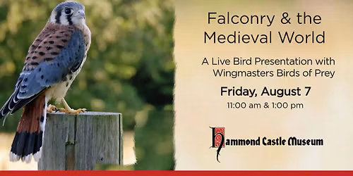 Falconry and the Medieval World