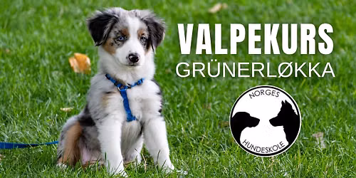 Valpekurs p\u00e5 Gr\u00fcnerl\u00f8kka (Oslo)