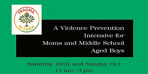 Self-Defense for Middle School Boys and Moms - an 8-hour, 2-day intensive
