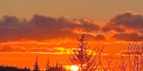 PRE-Procrastinator\u2019s Fair