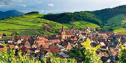Alsace: Pinot Gris World WineTasting & Dinner