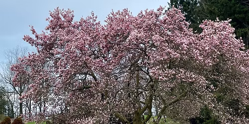 4th Sunday of Advent service with Bishop Townshend
