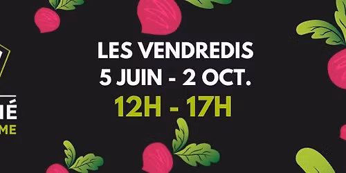 March\u00e9 Notre-Dame