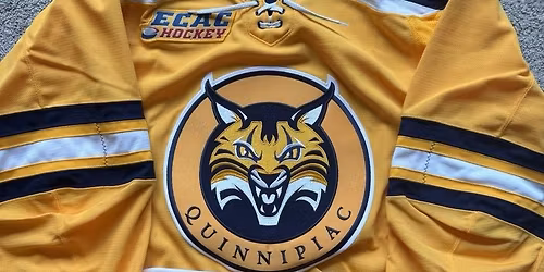 Brown Bears at Quinnipiac Bobcats Mens Hockey at M&T Bank Arena