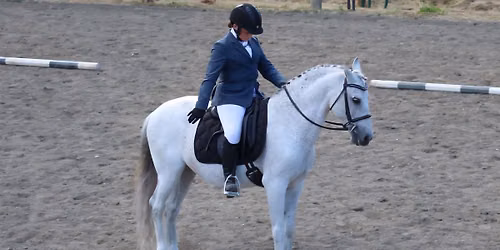 Home Stretch Open Dressage Show
