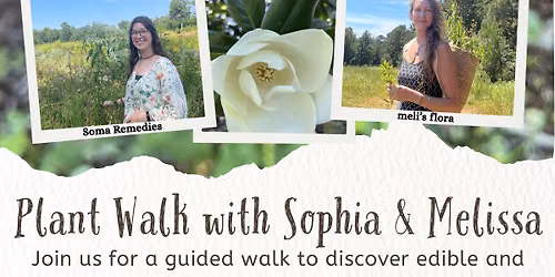 Ocean Springs Plant Identification Walk