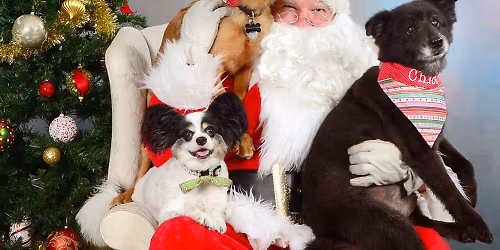 \ud83c\udf84 PET PHOTOS WITH SANTA AT ELIDA ROAD TIRE! \ud83c\udf84