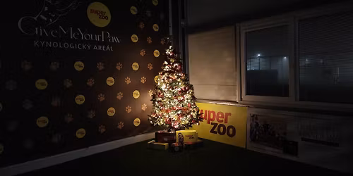 Postupov\u00e9 zkou\u0161ky dogdancingu 28.12.\ud83c\udfb6\ud83c\udf84\ud83c\udf81