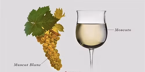 Moscato in May Wine Party