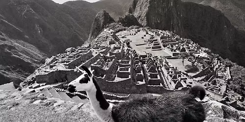 Learn How to Solo Travel the World: Even If You Have Zero Travel Experience