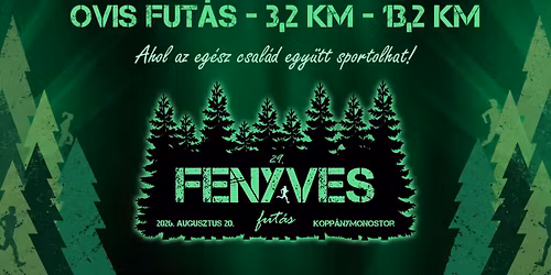29. Fenyves Fut\u00e1s