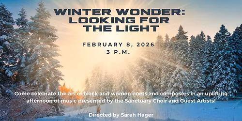 Winter Wonder:  Looking for  the Light