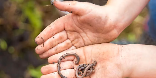 Kid's Class: Crawly, Wiggly, Buzzing Bugs