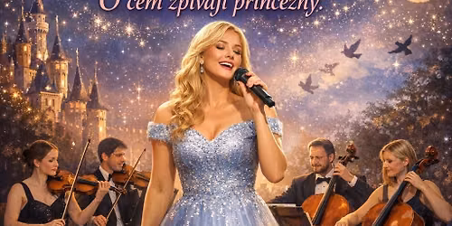 Poh\u00e1dkov\u00fd koncert aneb o \u010dem zp\u00edvaj\u00ed princezny
