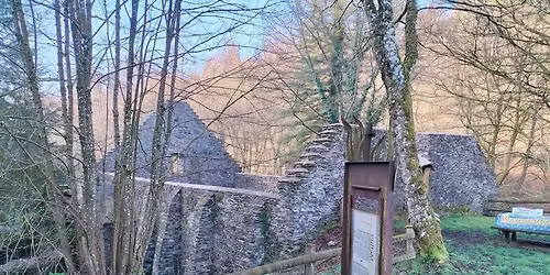 Le Souvenir Marc Ronvaux