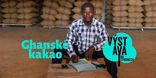 V\u00fdstava na stromech v Blansku: Ghansk\u00e9 kakao